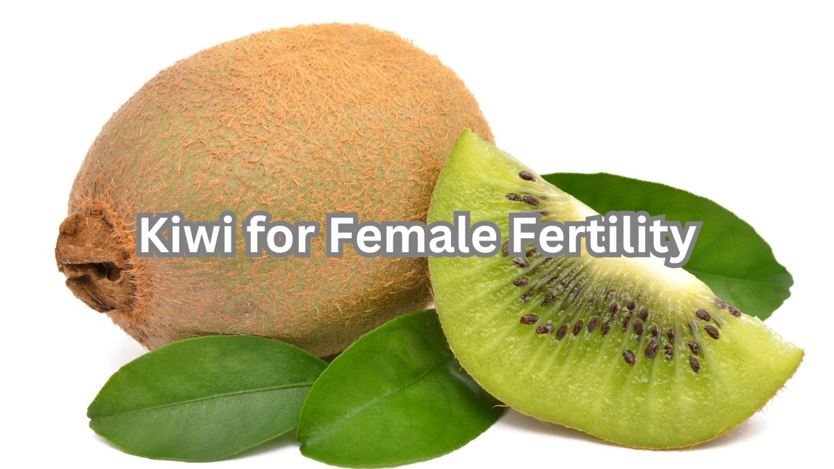 Does Kiwi Help Female Fertility? 1 does kiwi help female fertility
