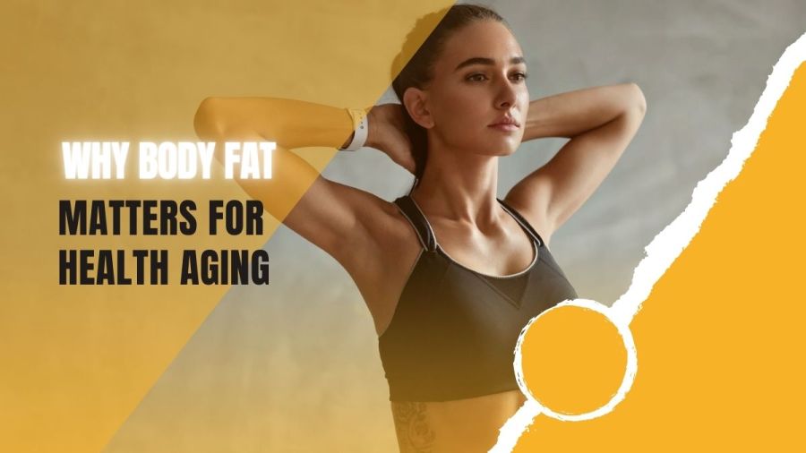 why body fat matters for healthy aging body fat