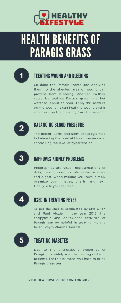 9 Amazing Paragis Grass Health Benefits 3 paragis grass